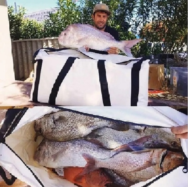 Insultong Fish cooler bag Insultong Fish cooler bag